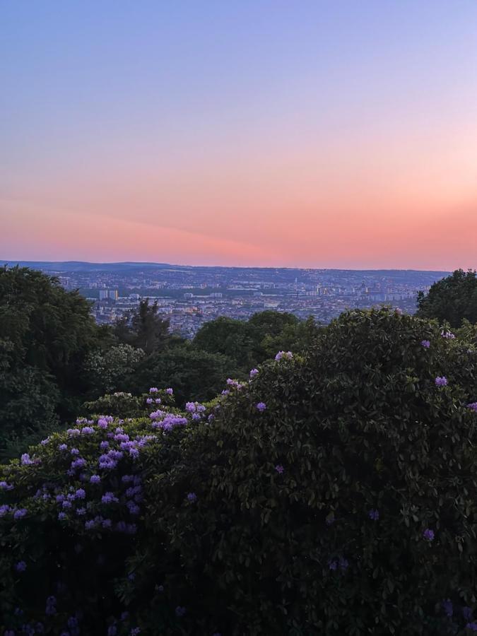 Oasis Appart - Wohnen Im Koenigspark - Elbhang Dresden - Grosse Terrasse - Netflix - Tg المظهر الخارجي الصورة