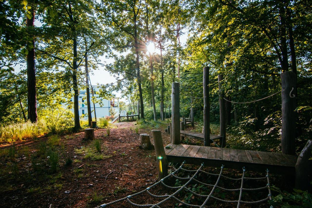 Oasis Appart - Wohnen Im Koenigspark - Elbhang Dresden - Grosse Terrasse - Netflix - Tg المظهر الخارجي الصورة