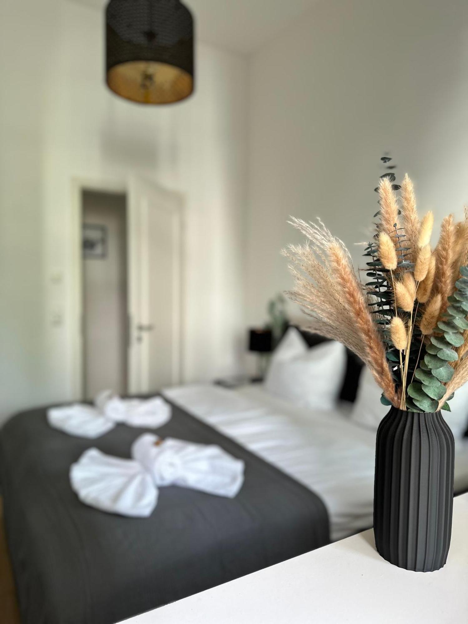 Oasis Appart - Wohnen Im Koenigspark - Elbhang Dresden - Grosse Terrasse - Netflix - Tg المظهر الخارجي الصورة