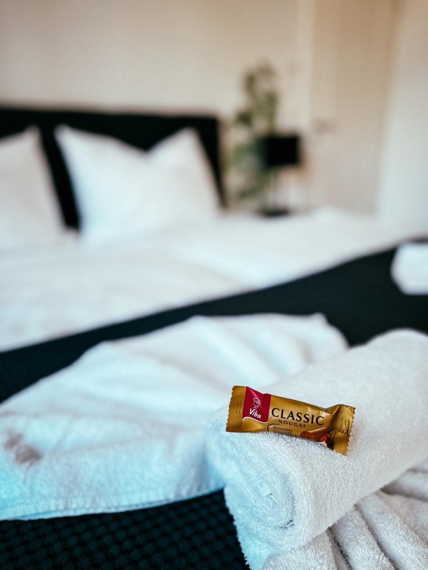 Oasis Appart - Wohnen Im Koenigspark - Elbhang Dresden - Grosse Terrasse - Netflix - Tg المظهر الخارجي الصورة