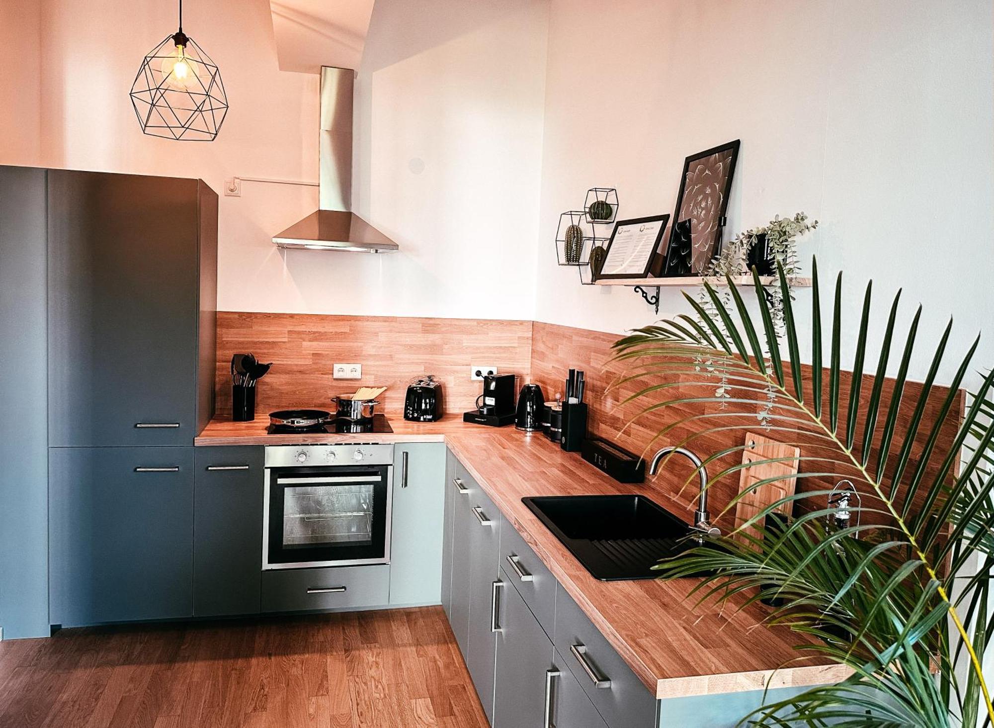 Oasis Appart - Wohnen Im Koenigspark - Elbhang Dresden - Grosse Terrasse - Netflix - Tg المظهر الخارجي الصورة