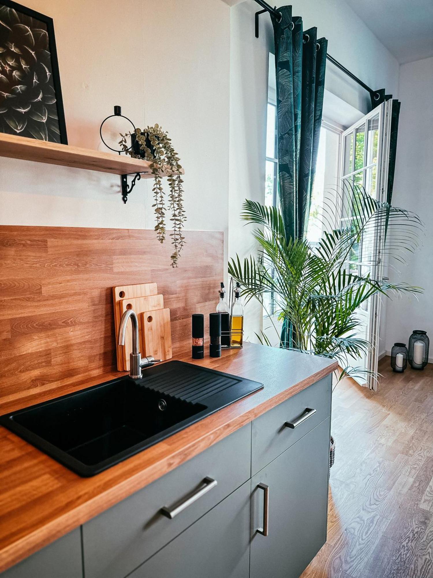 Oasis Appart - Wohnen Im Koenigspark - Elbhang Dresden - Grosse Terrasse - Netflix - Tg المظهر الخارجي الصورة